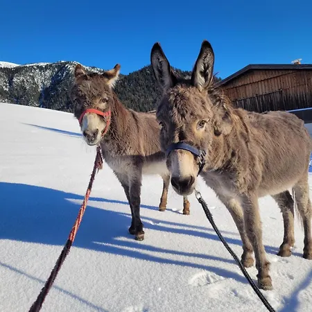 Gasteiger * Steinberg am Rofan