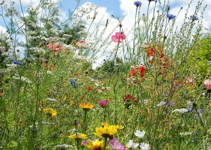 Gasteiger Appartement *