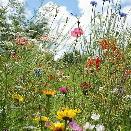 Gasteiger Lägenhet *