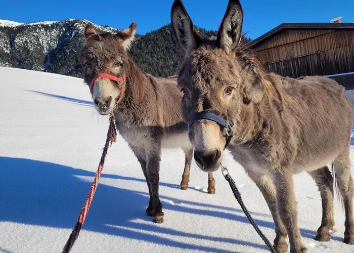 Gasteiger * Steinberg am Rofan